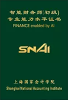 智能财务师FAI证书示例